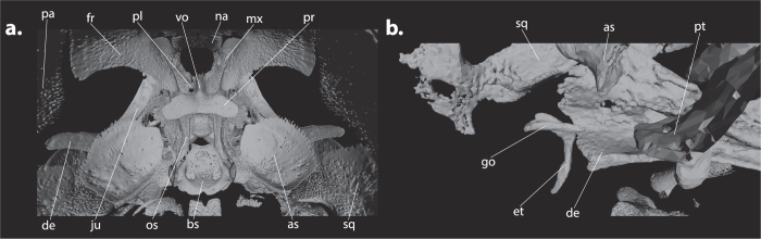 Figure 5