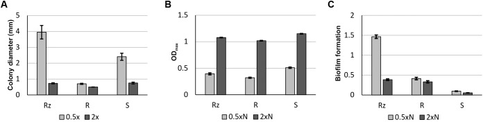 FIGURE 2