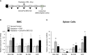 Figure 7