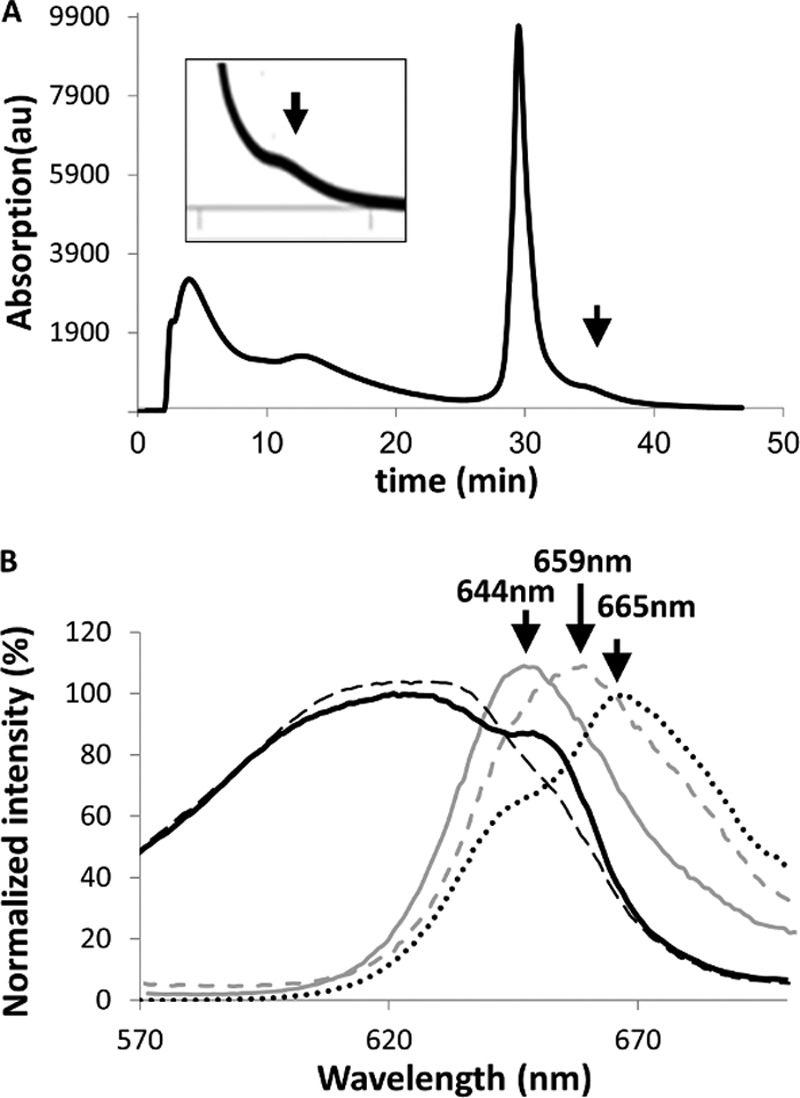 FIGURE 2.