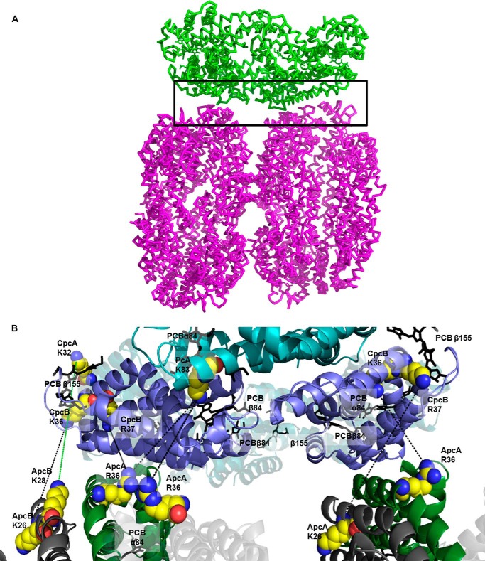 FIGURE 7.