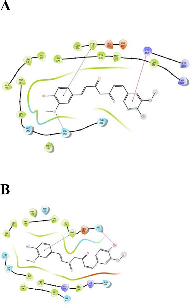 graphic file with name nihms-1662291-f0001.jpg