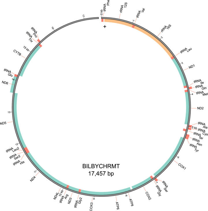 Extended Data Fig. 1