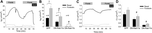 Fig. 6.