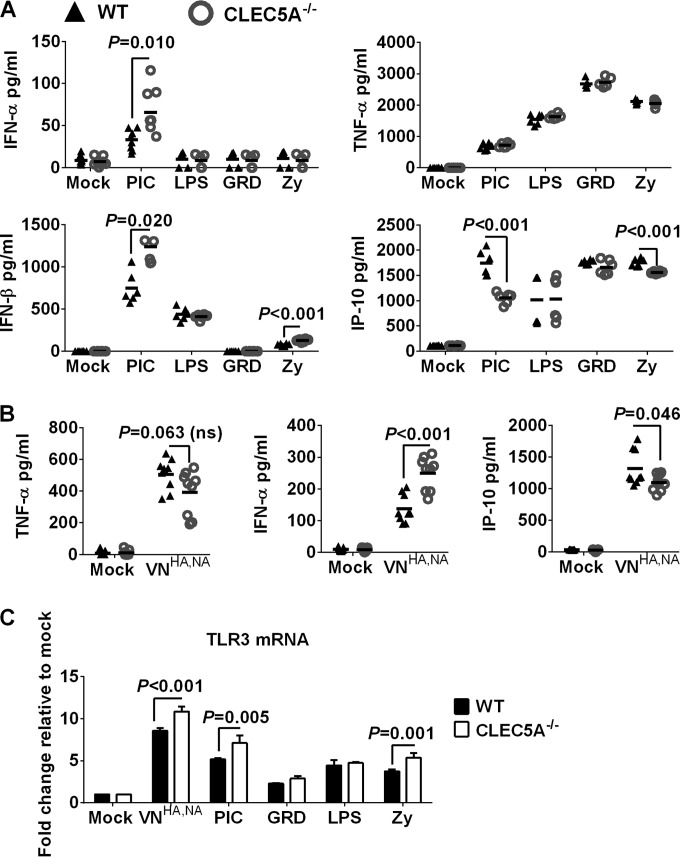 FIG 6