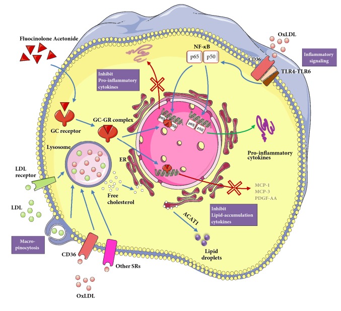 Figure 6