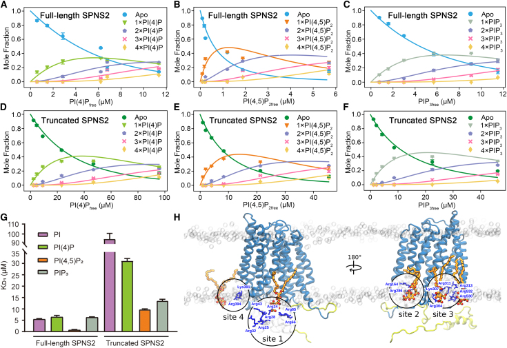 Figure 2