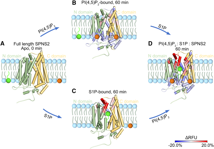 Figure 7