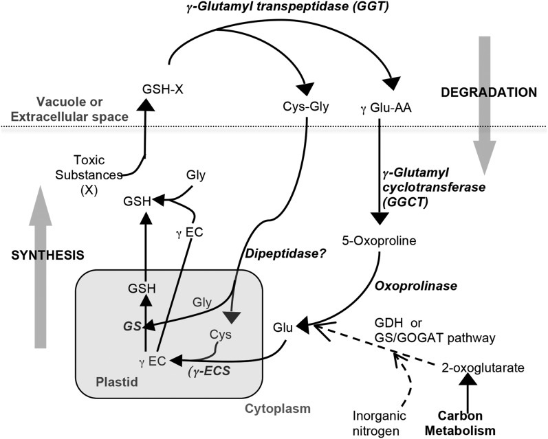 Figure 1.