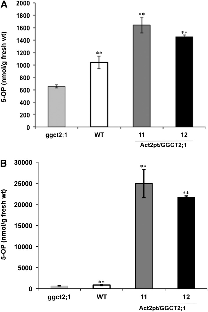 Figure 12.