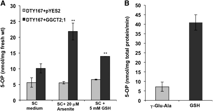 Figure 6.