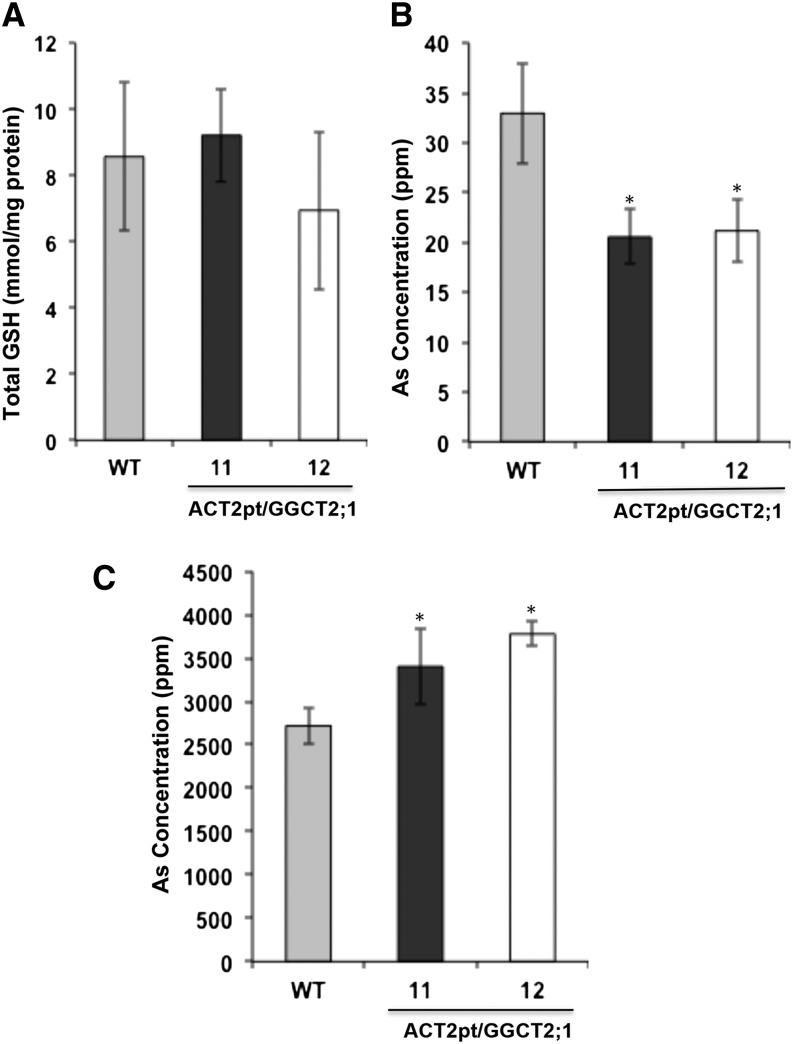 Figure 11.