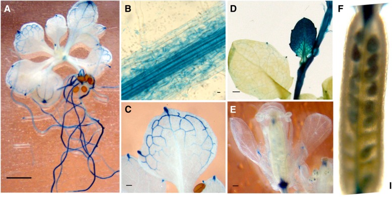 Figure 9.