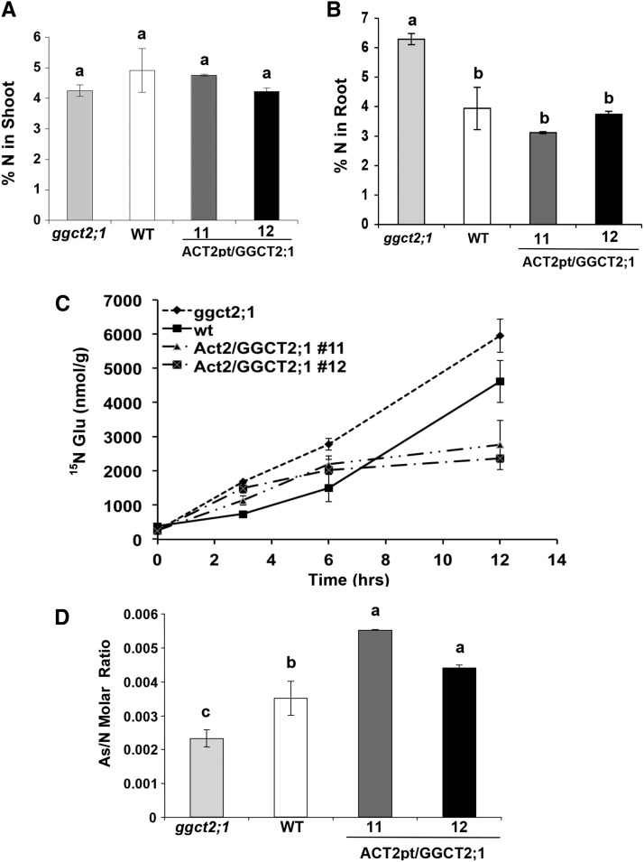 Figure 13.