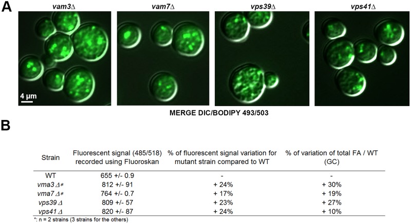 Fig. 7.