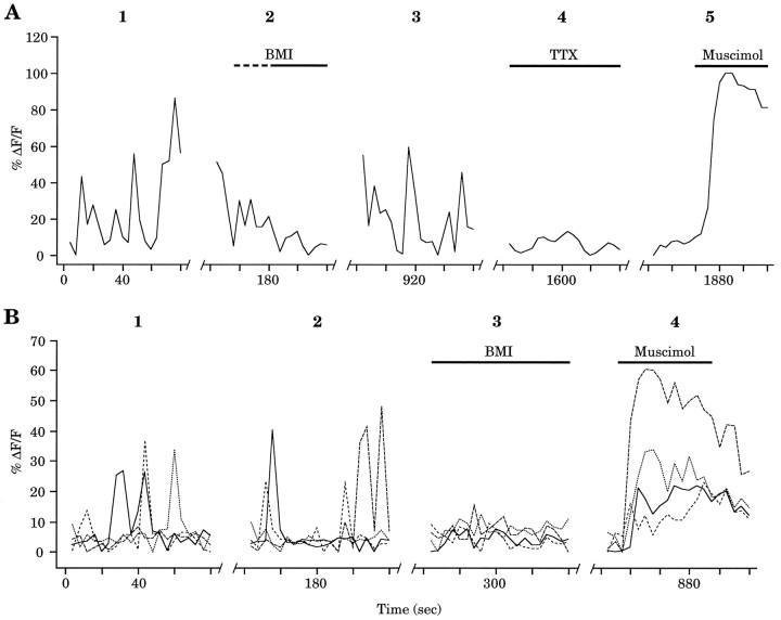 Fig. 7.