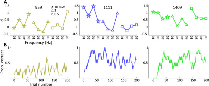 Figure 4—figure supplement 2.