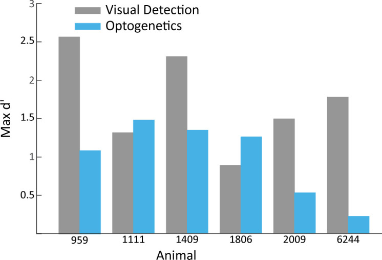 Figure 4—figure supplement 1.