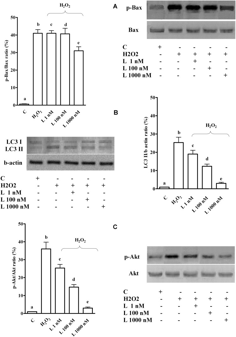 Fig 9