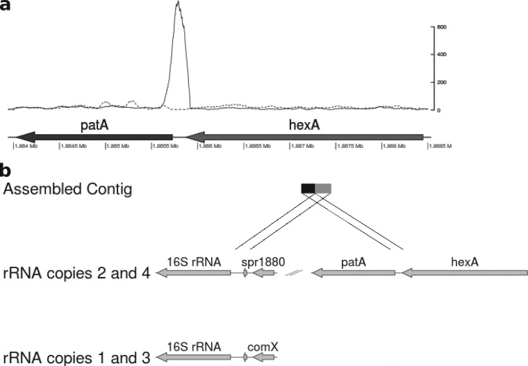 FIG 2