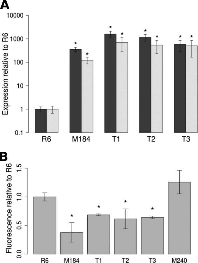 FIG 1