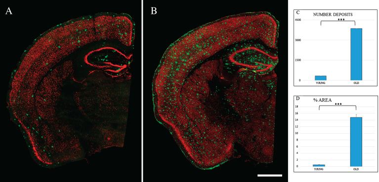 Fig.2