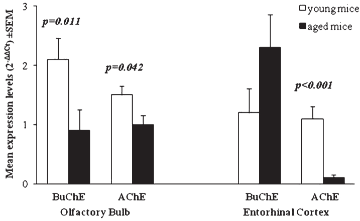 Fig.3