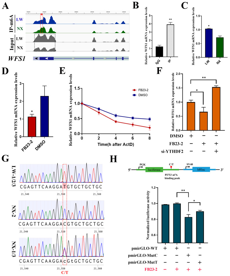 Figure 7