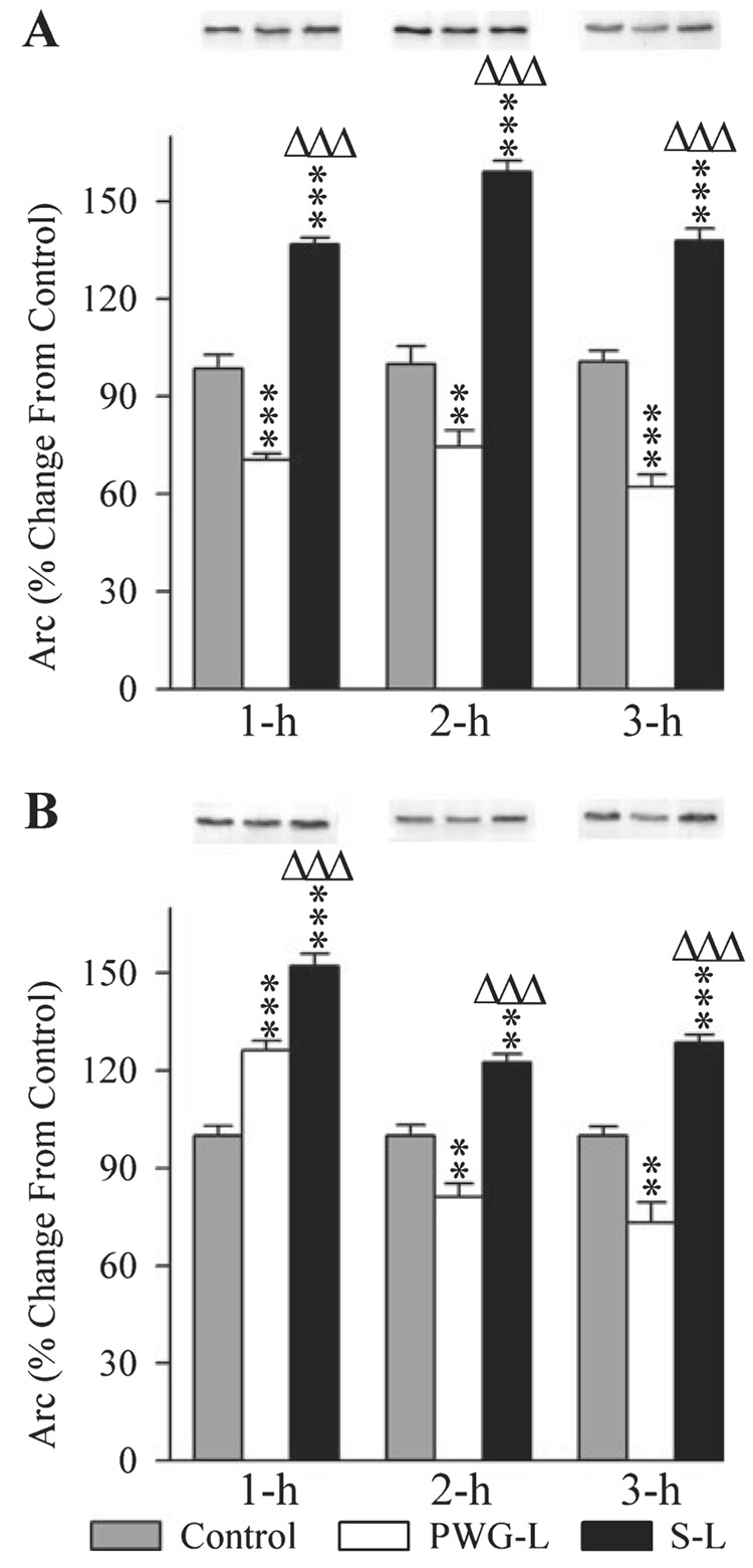 FIG. 6