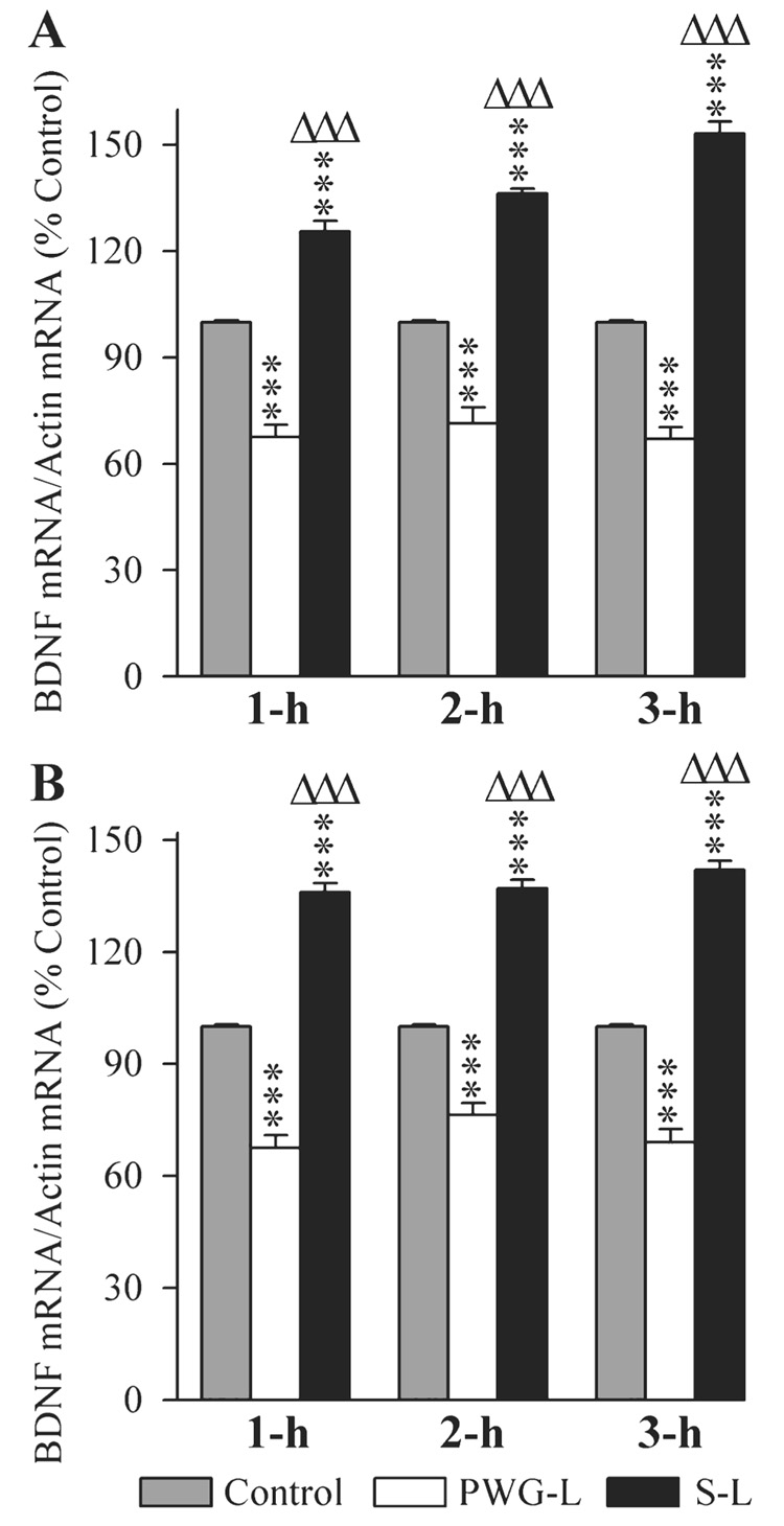 FIG. 8