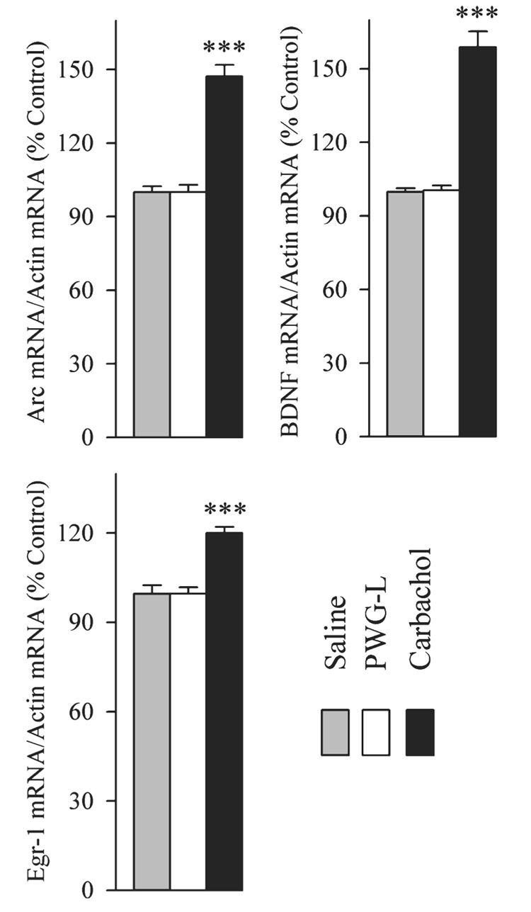 FIG. 10