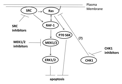 Figure 6.