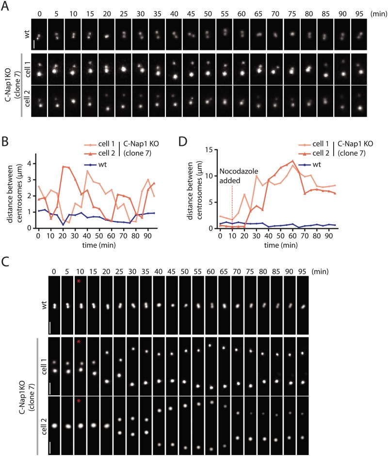 Fig 4