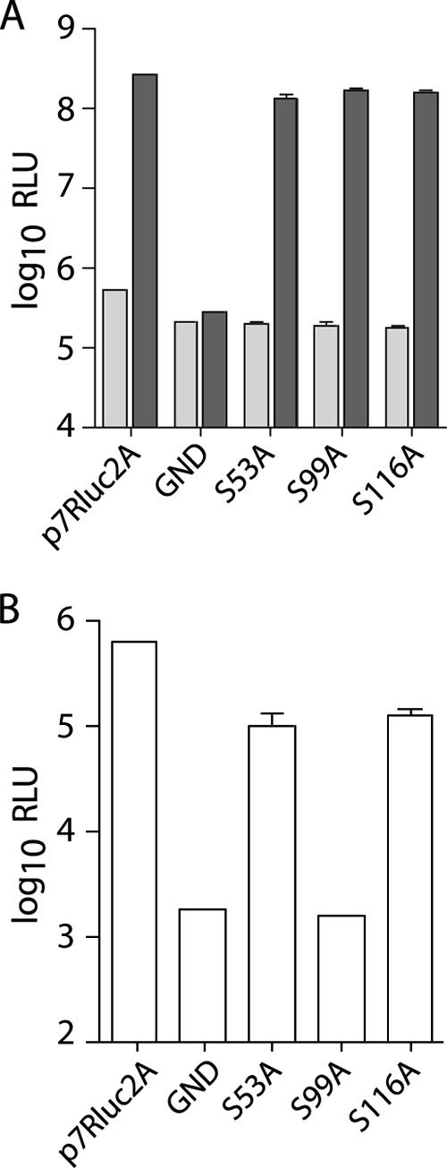 FIG. 5.