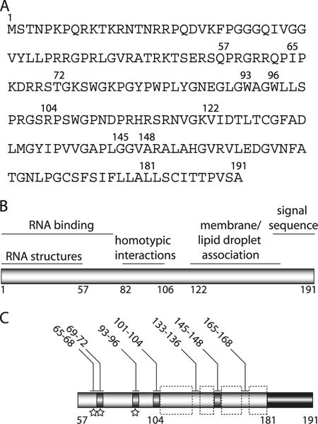 FIG. 9.