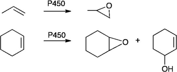 Fig. 12