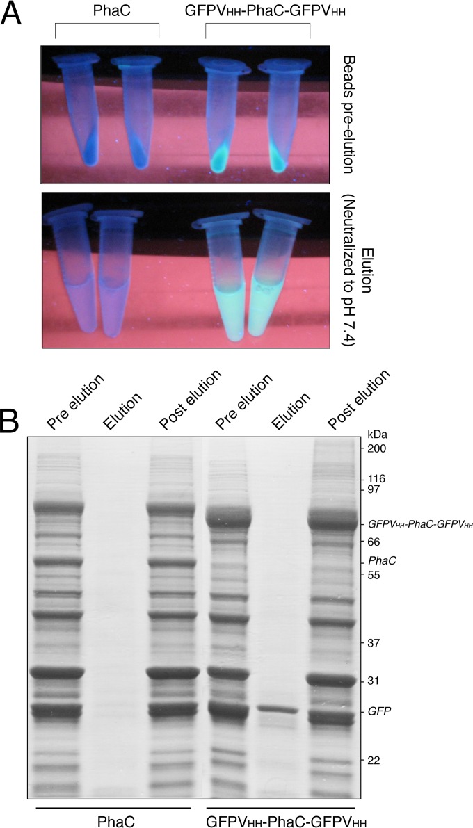 FIG 2