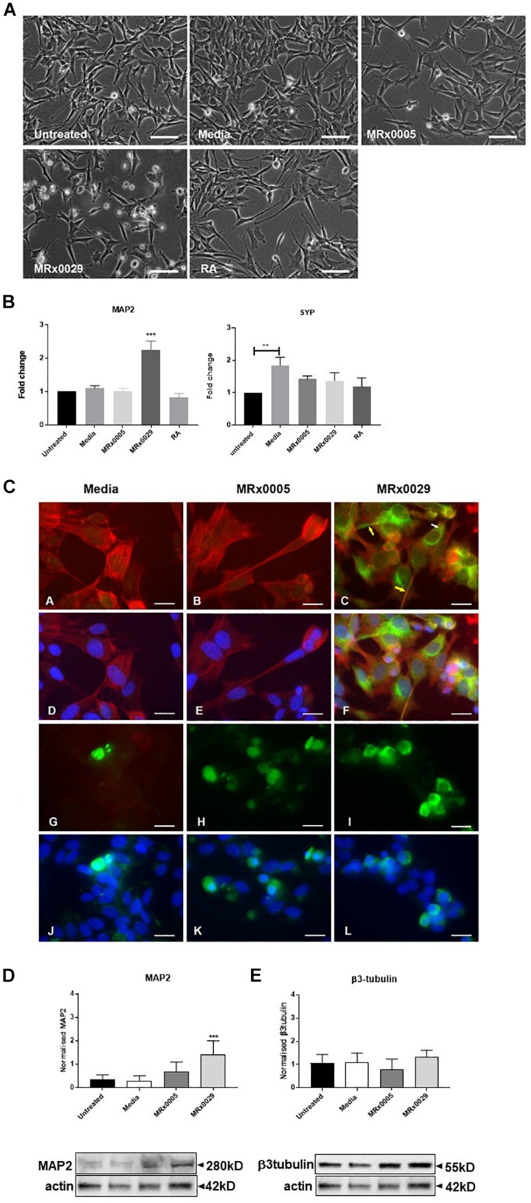 FIGURE 3