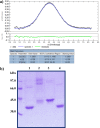 FIG 8