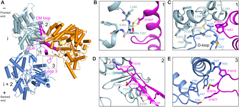 Fig. 3.