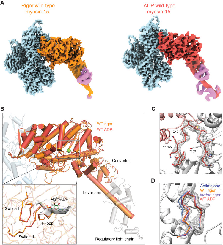 Fig. 6.