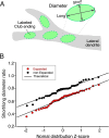 Figure 1—figure supplement 1.