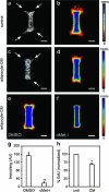 FIG. 4.