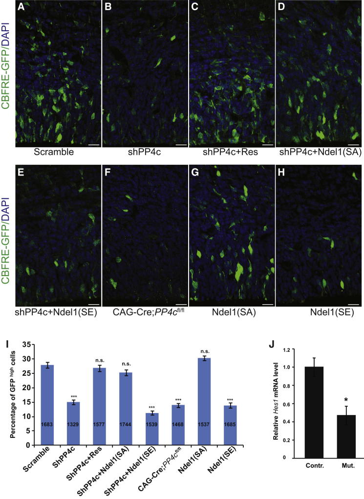 Figure 6