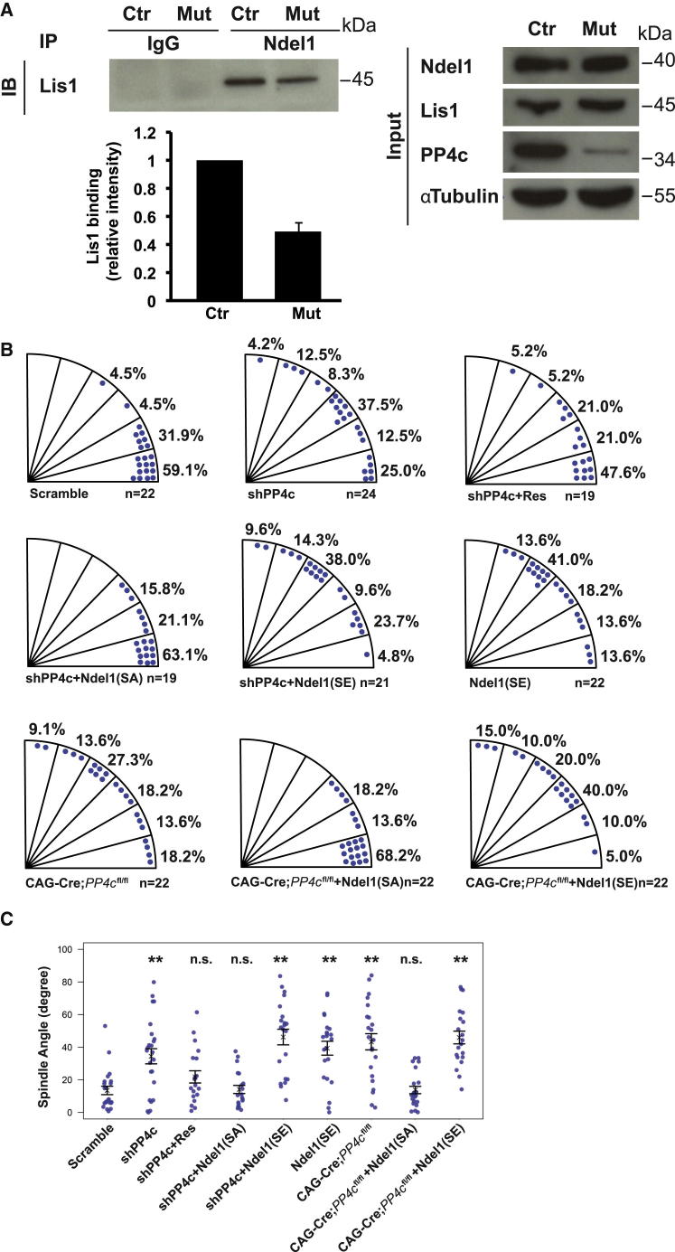 Figure 5