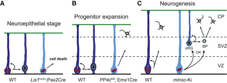 Figure 7