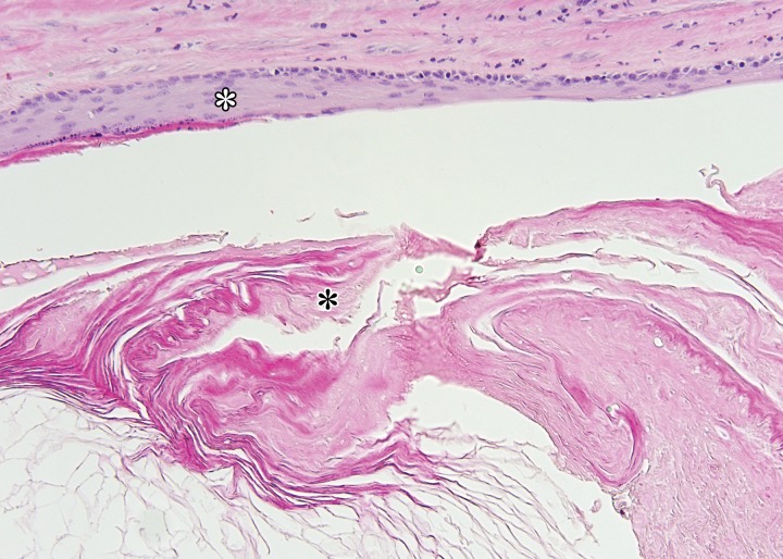 Figure 10c.