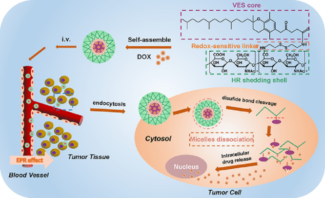 Image, graphical abstract