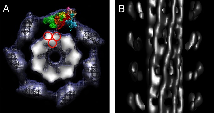 Fig. 4.