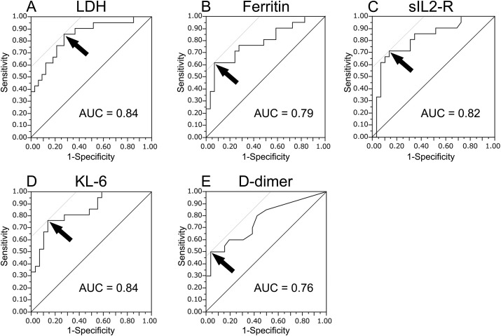 Fig. 1